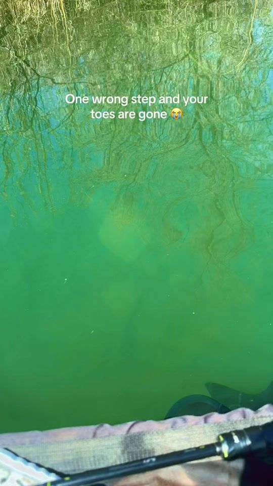 TikTok video thumbnail by thebeckster7