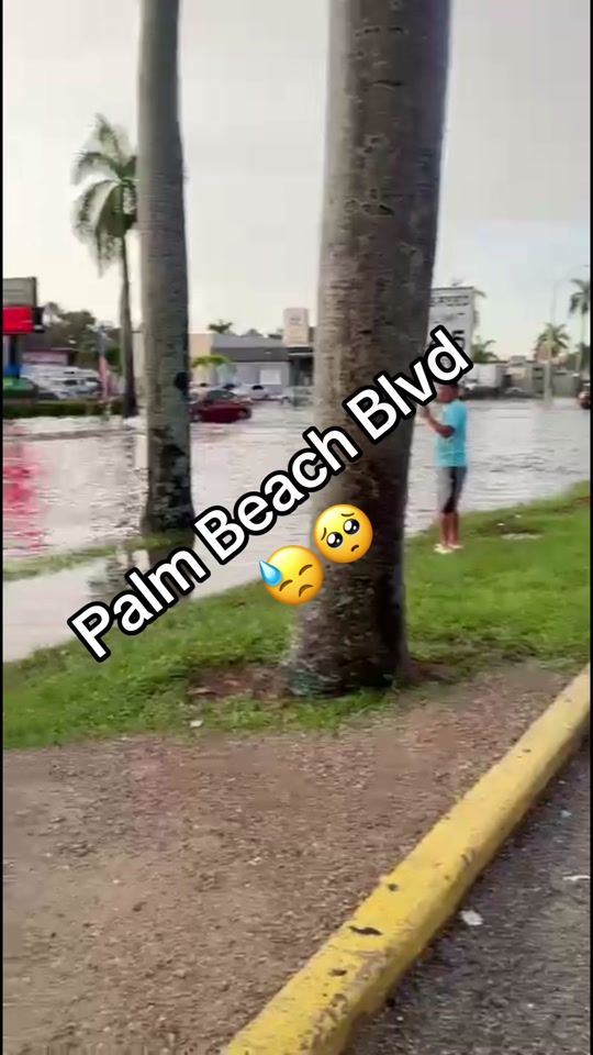 TikTok video thumbnail by michell.sac