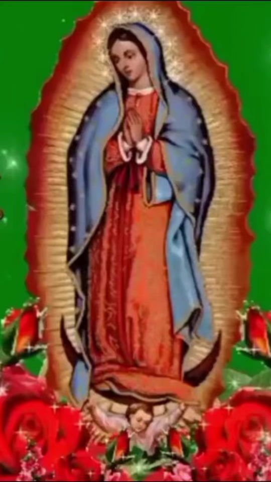 TikTok video thumbnail by normadecamachojim