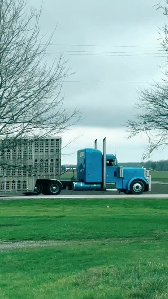 TikTok video thumbnail by vipeveryday