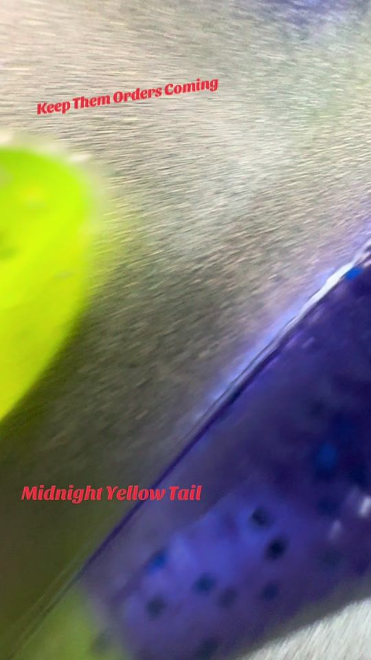 TikTok video thumbnail by jvsrigemlures