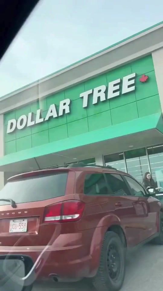 TikTok video thumbnail by dollartree.hacks