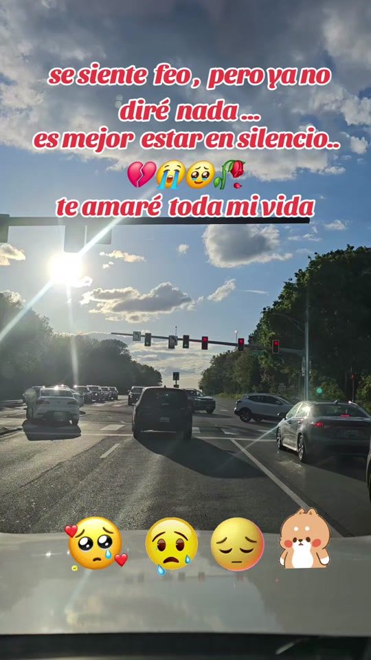 TikTok video thumbnail by princesa503rv
