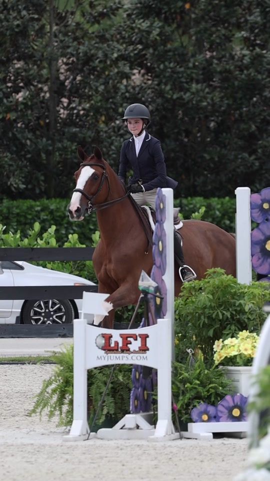 TikTok video thumbnail by lindsay.eq