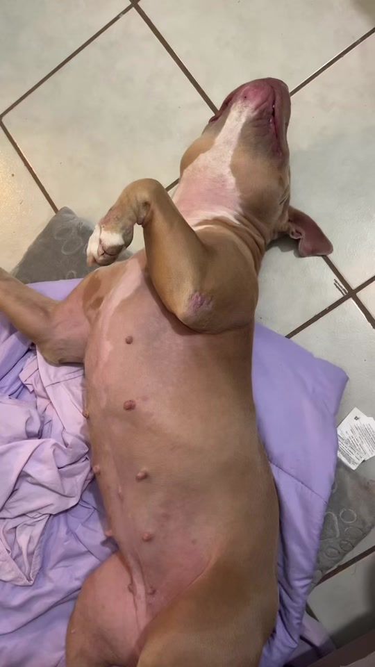 TikTok video thumbnail by ymzaid25