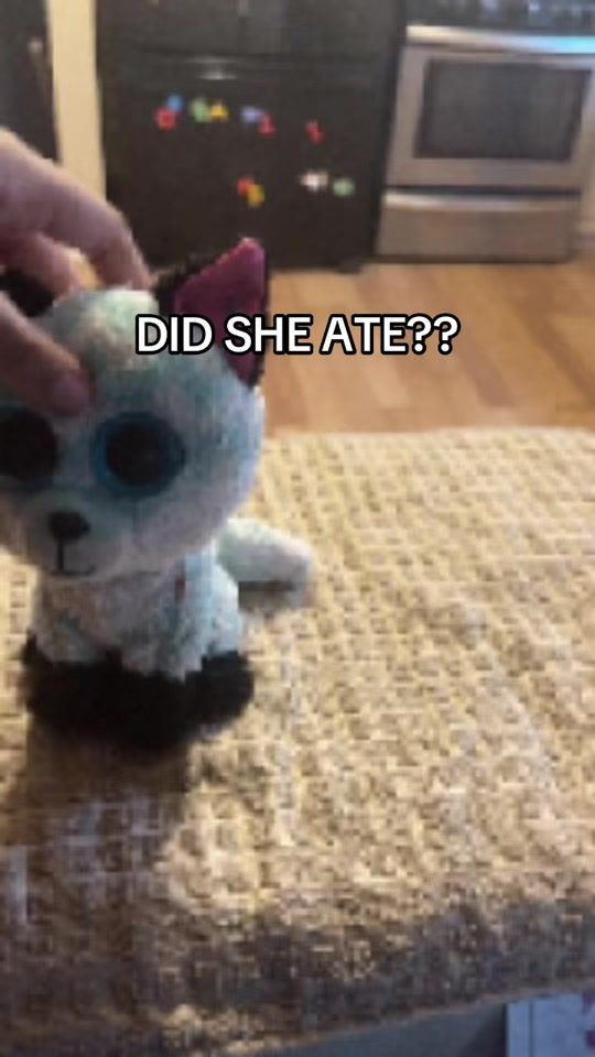 TikTok video thumbnail by beaineboosoulchil