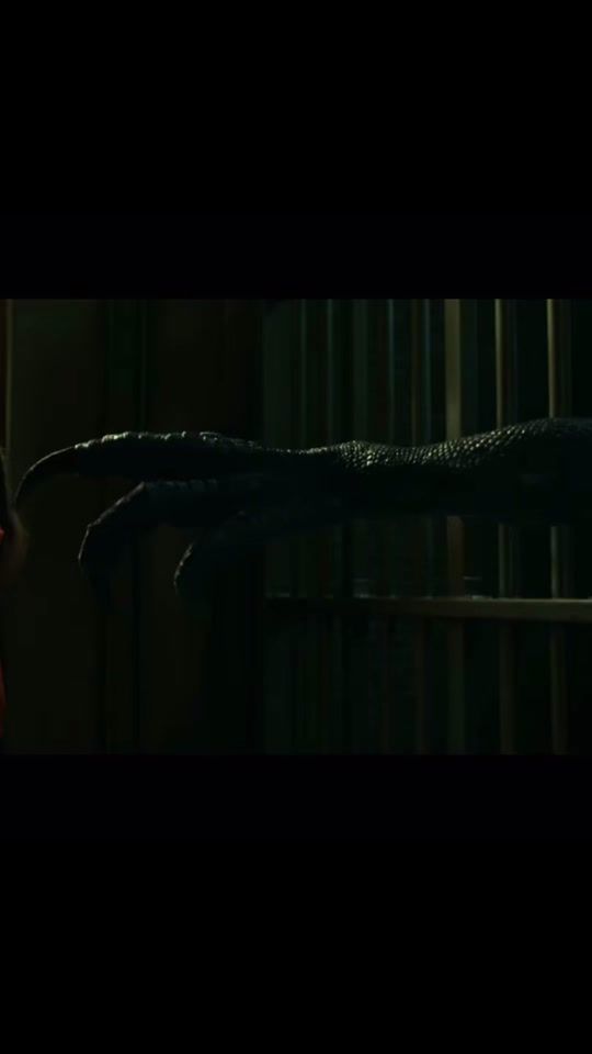 TikTok video thumbnail by traedehprince