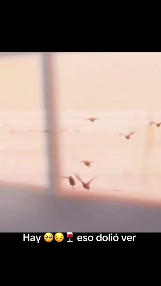 TikTok video thumbnail by natsuslayers_