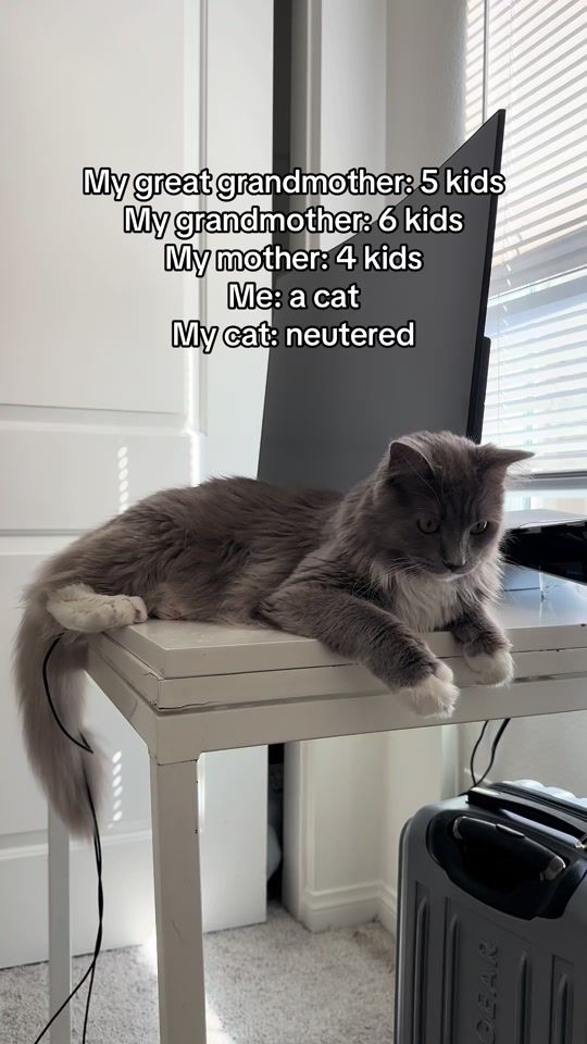 TikTok video thumbnail by kristinaledstrom