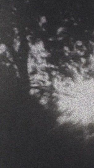 TikTok video thumbnail by sdisoupk