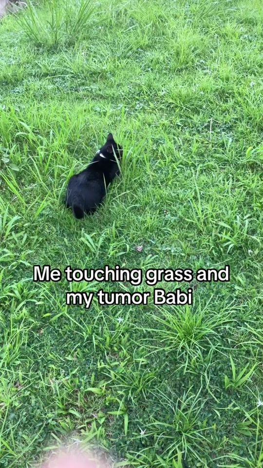 TikTok video thumbnail by nobiatkid